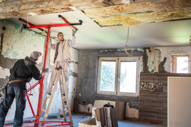 Best Residential Insulation in Belterra, TX